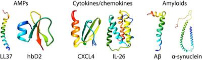 Functional Reciprocity of Amyloids and Antimicrobial Peptides: Rethinking the Role of Supramolecular Assembly in Host Defense, Immune Activation, and Inflammation